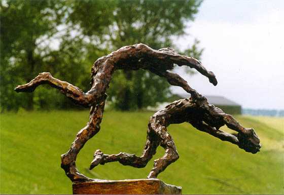 Rugby door Melgert Dale