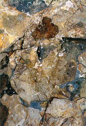 J64.14, 57 x 38 cm