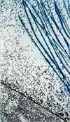Zonder titel, 53 x 92 mm
